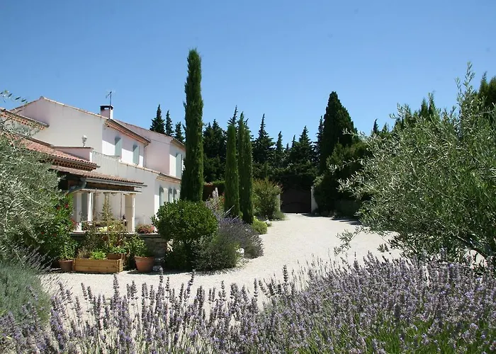 Mas De L'Estello
